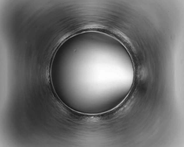 X0000093741321200710161132