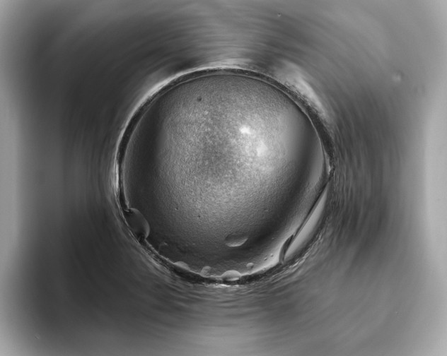 X0000093741324200710161132
