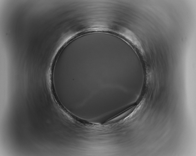 X0000093741325200710161132