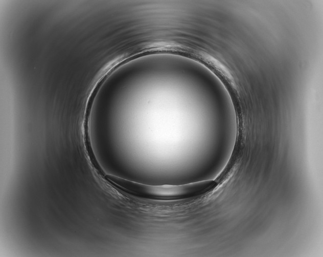 X0000093741330200710161132