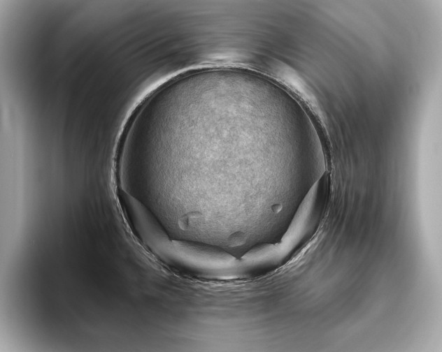 X0000093741336200710161132