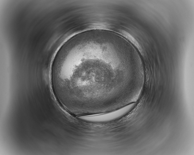 X0000093741339200710161132