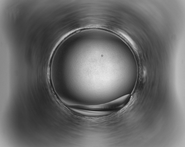X0000093741340200710161132