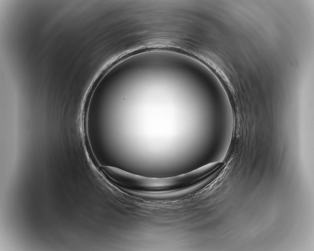 X0000093741342200710161132