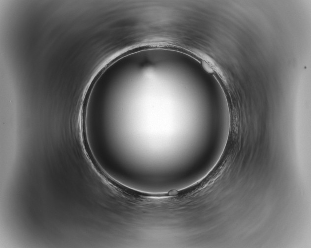 X0000093741343200710161132