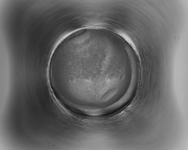 X0000093741344200710161132