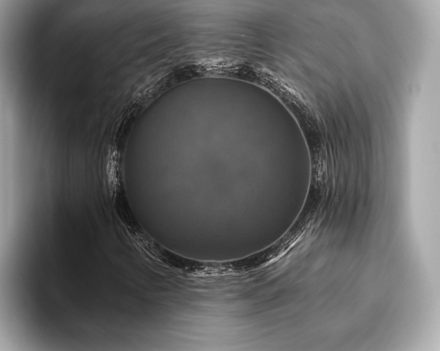 X0000093741346200710161131
