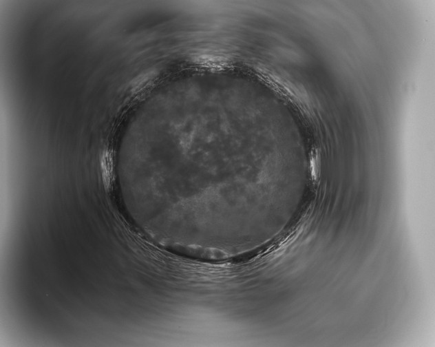 X0000093741347200710161131