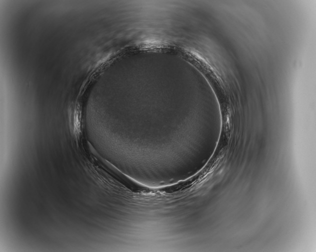 X0000093741348200710161131