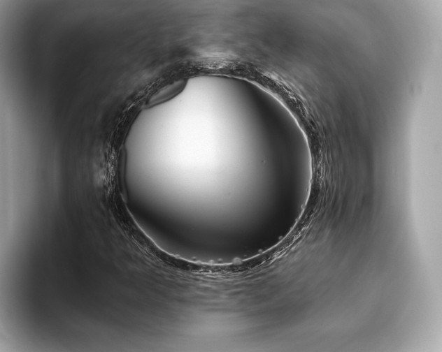 X0000093741349200710161131