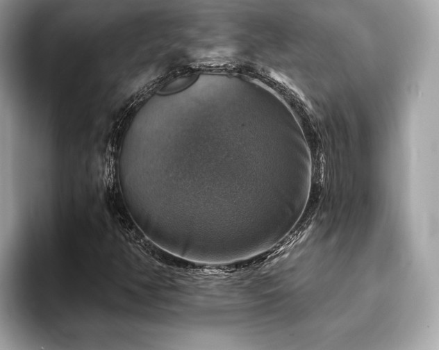X0000093741350200710161131
