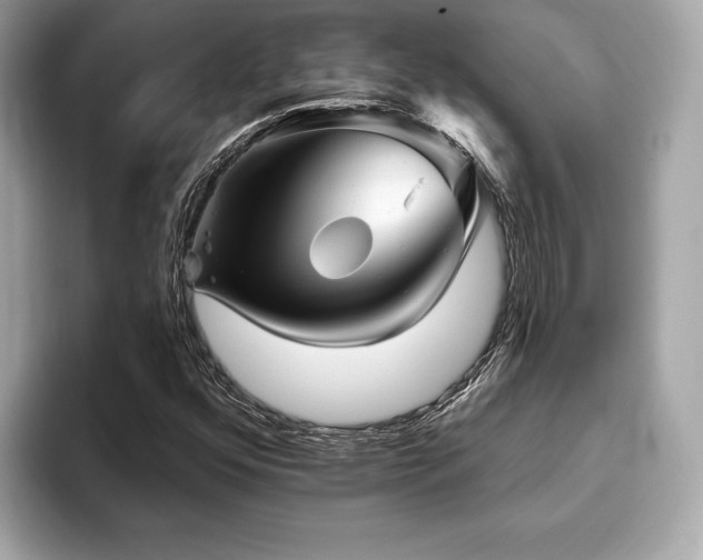 X0000093741352200710161131