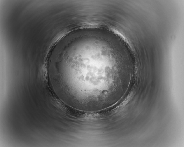 X0000093741354200710161131