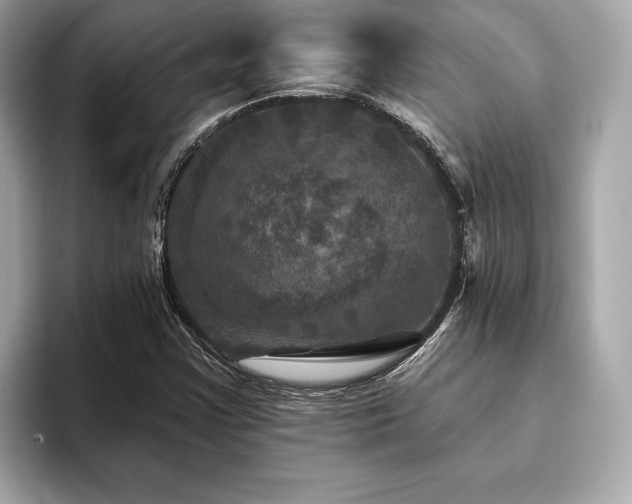 X0000093741355200710161131