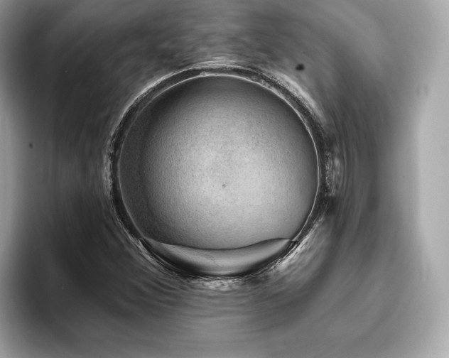 X0000093741356200710161131
