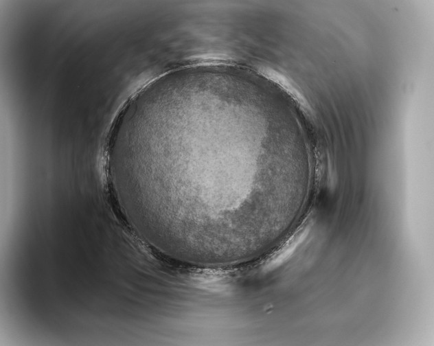 X0000093741357200710161131