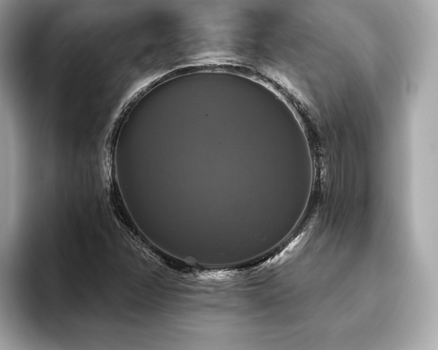 X0000093741358200710161131