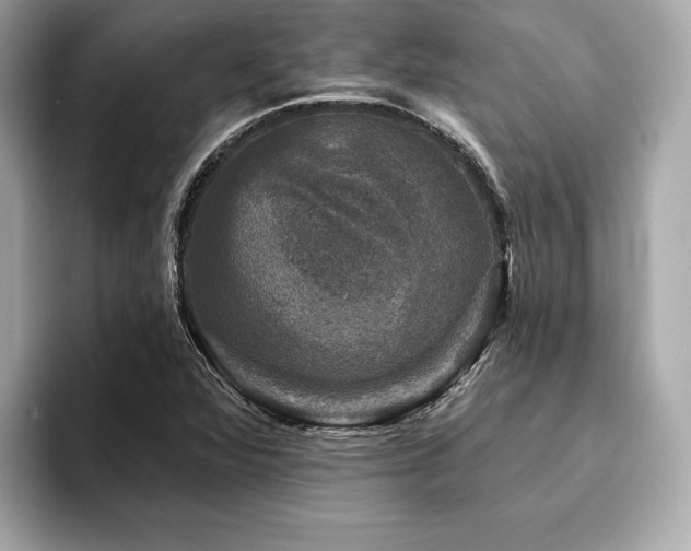 X0000093741360200710161131