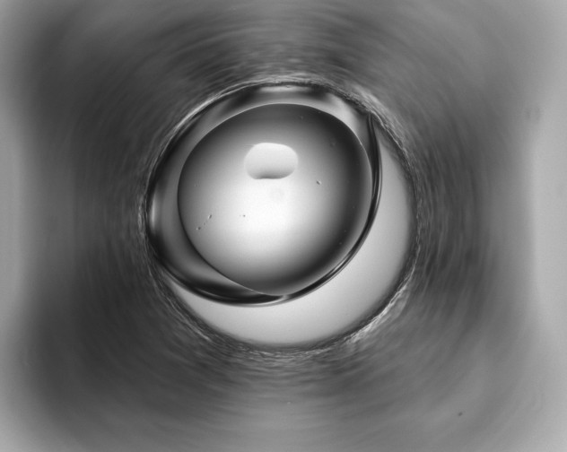 X0000093741361200710161131