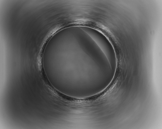 X0000093741362200710161131