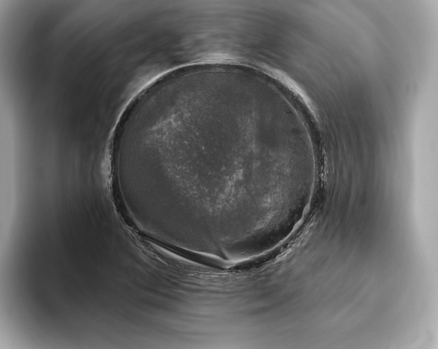 X0000093741364200710161131