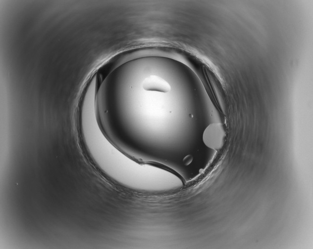 X0000093741365200710161131