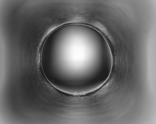 X0000093741366200710161131
