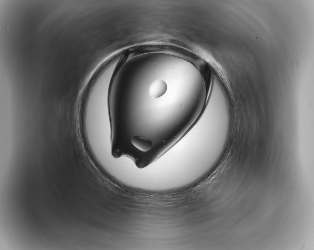 X0000093741368200710161131