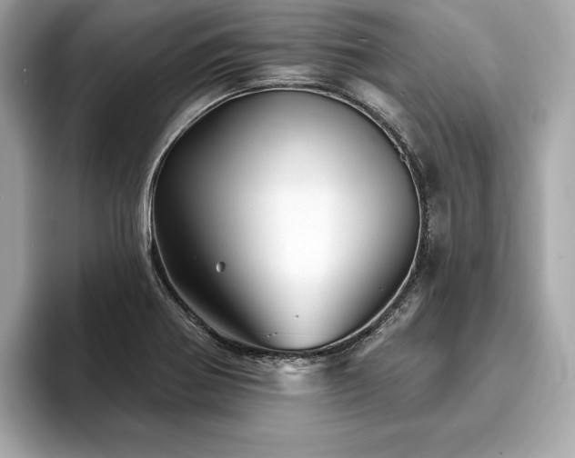 X0000093741370200710161131