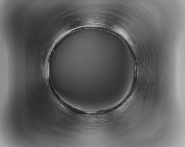 X0000093741371200710161131