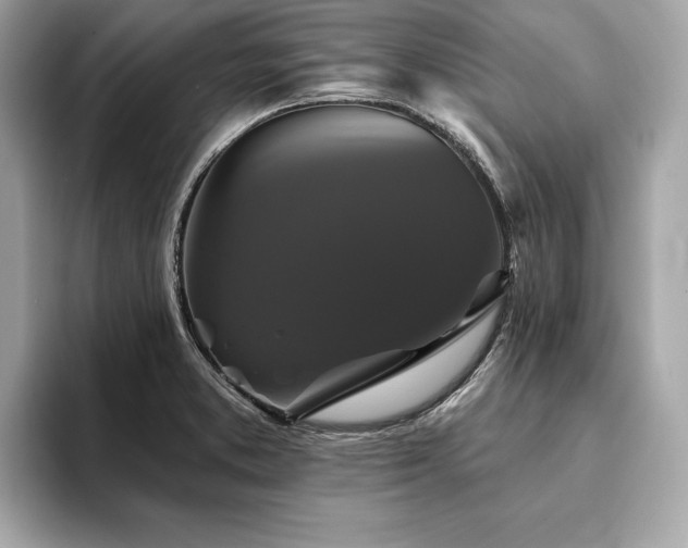 X0000093741373200710161131