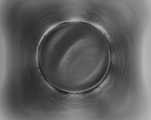 X0000093741374200710161131
