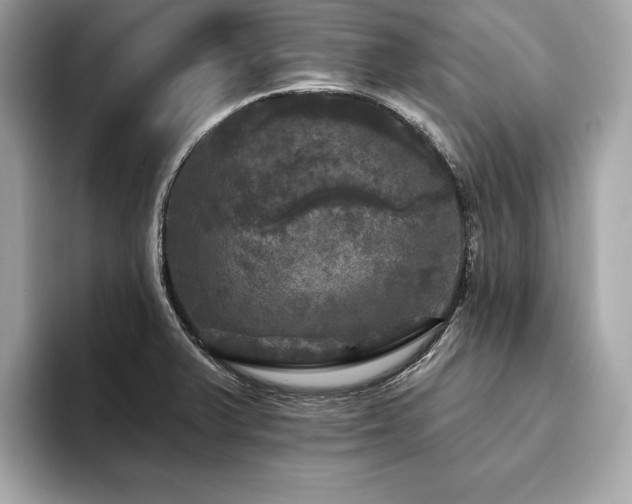 X0000093741375200710161131