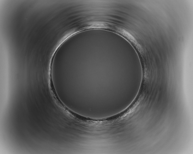 X0000093741378200710161131