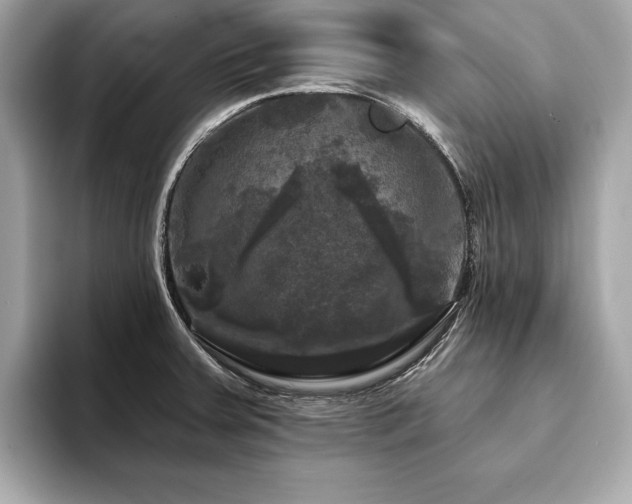 X0000093741379200710161131