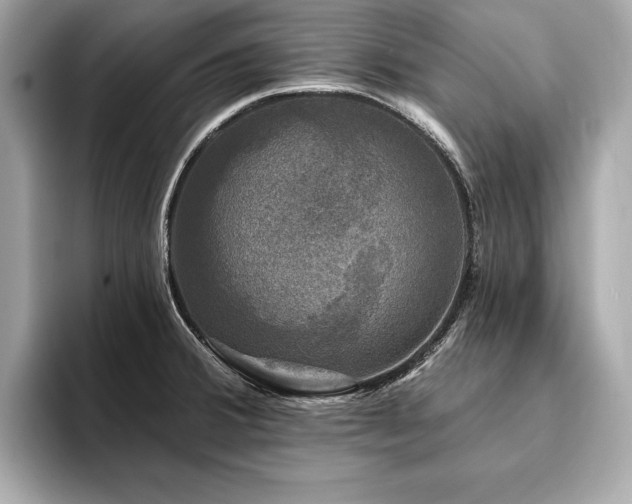 X0000093741380200710161131