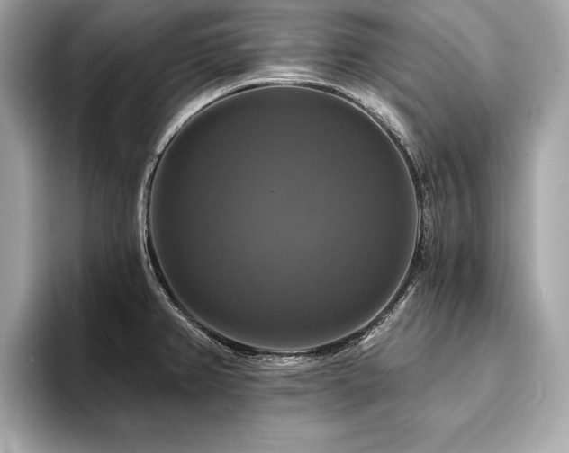 X0000093741382200710161131