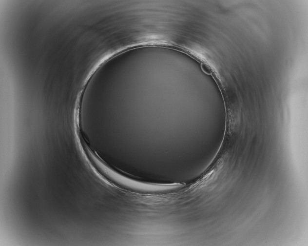 X0000093741383200710161131