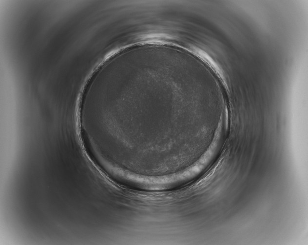 X0000093741384200710161131
