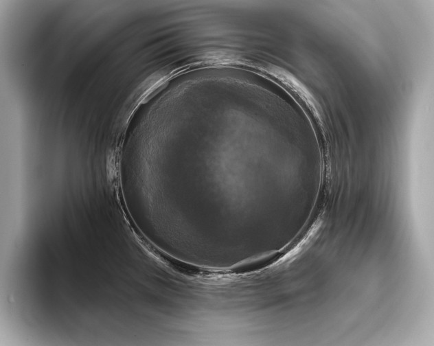 X0000093741385200710161131