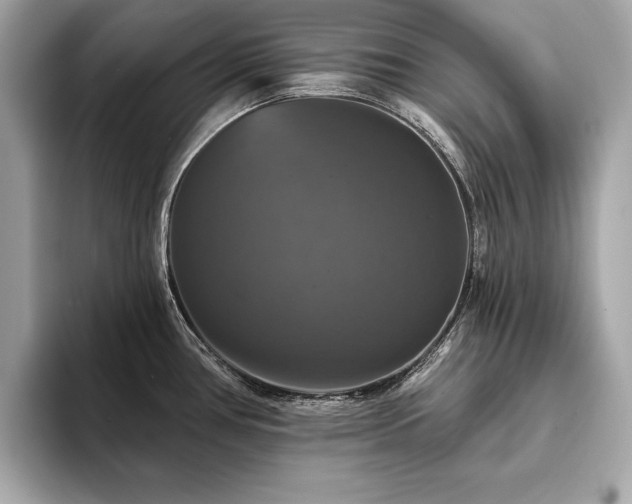 X0000093741386200710161131