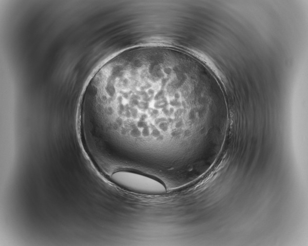 X0000093741387200710161131