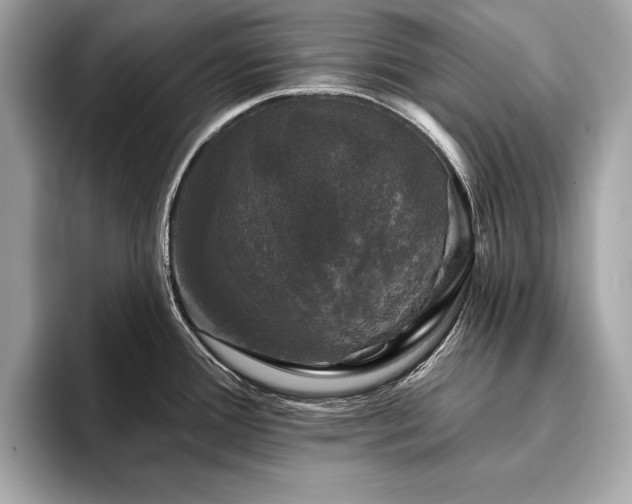 X0000093741388200710161131