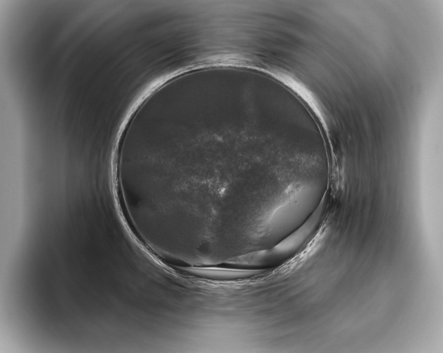 X0000093741389200710161131