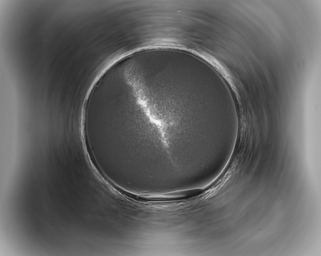 X0000093741390200710161131