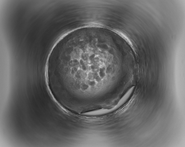 X0000093741391200710161131