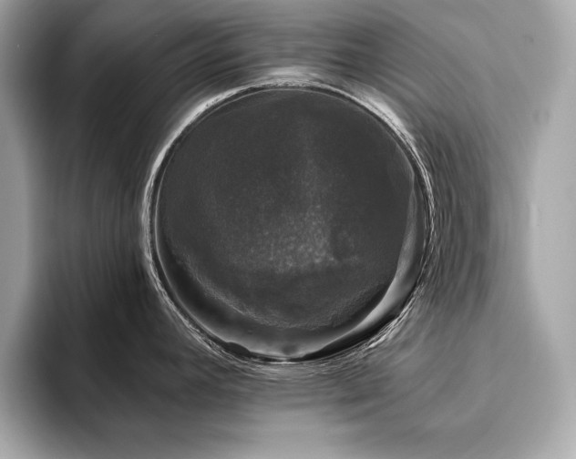 X0000093741392200710161131