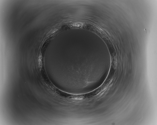 X0000093741394200710161130