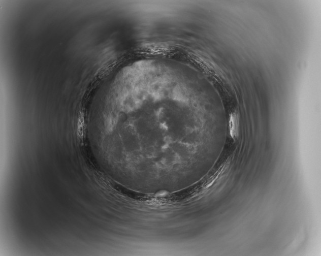 X0000093741395200710161130