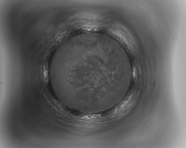 X0000093741396200710161130
